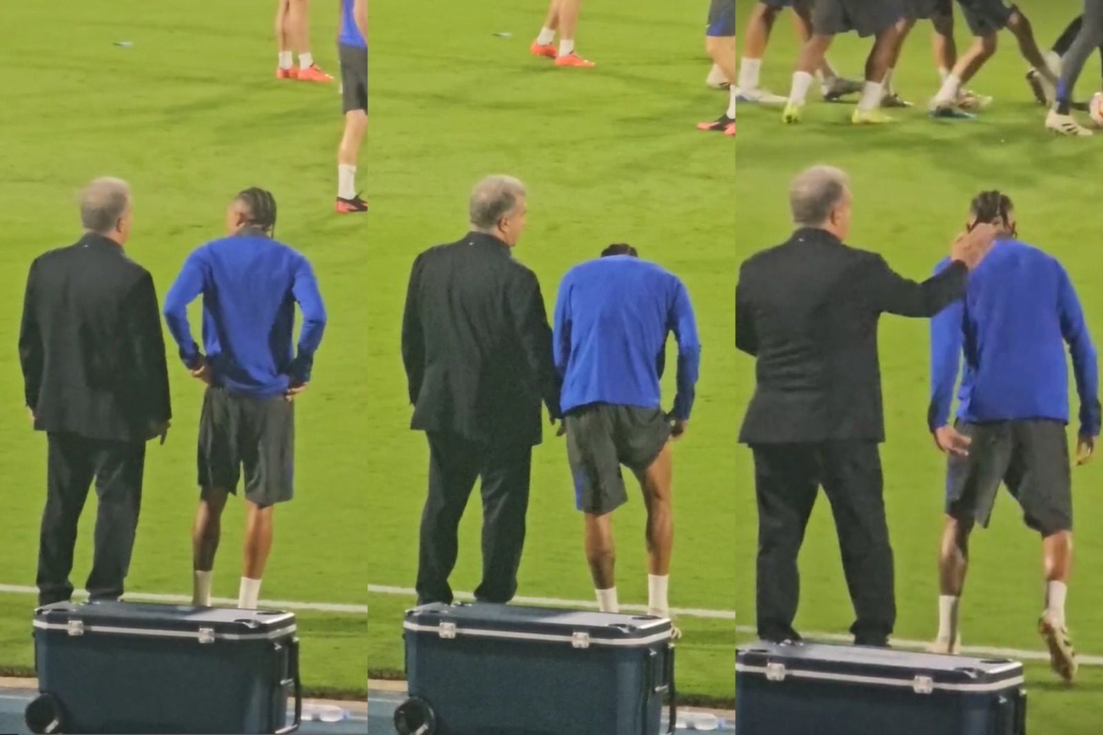 西兰的强劲 西兰的强劲